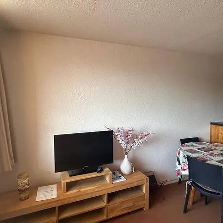 Au Pied Des Pistes A Super - Fr-1-814-61 Apartment Besse-et-Saint-Anastaise