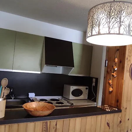 Apartment Au Pied Des Pistes A - Fr-1-814-61 Super Besse