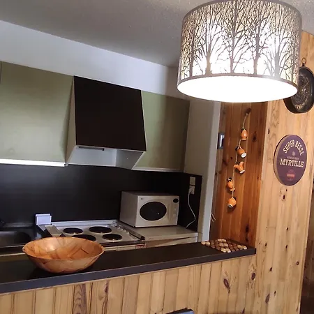 Apartment Au Pied Des Pistes A - Fr-1-814-61 *