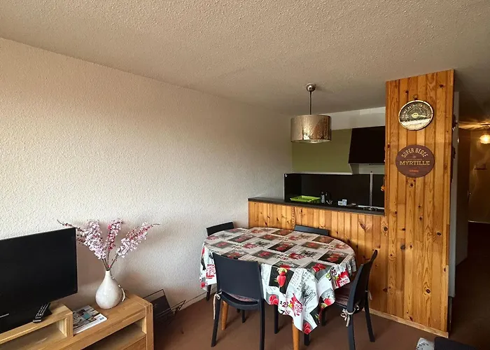 Apartment Au Pied Des Pistes A - Fr-1-814-61