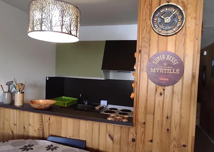 Apartment Au Pied Des Pistes A - Fr-1-814-61