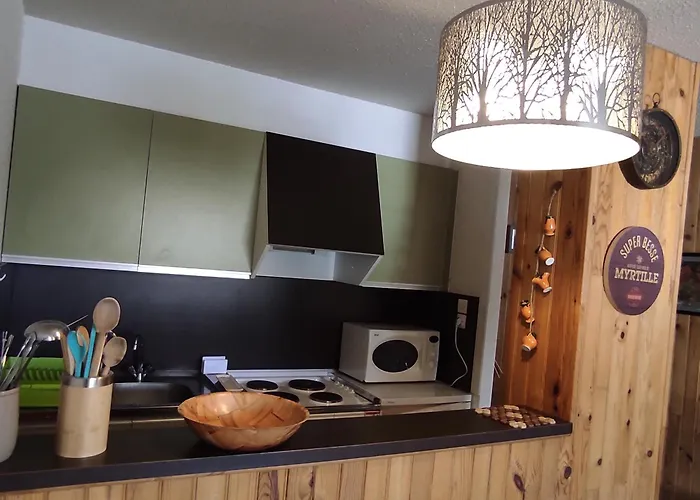 Apartment Au Pied Des Pistes A - Fr-1-814-61 Super Besse