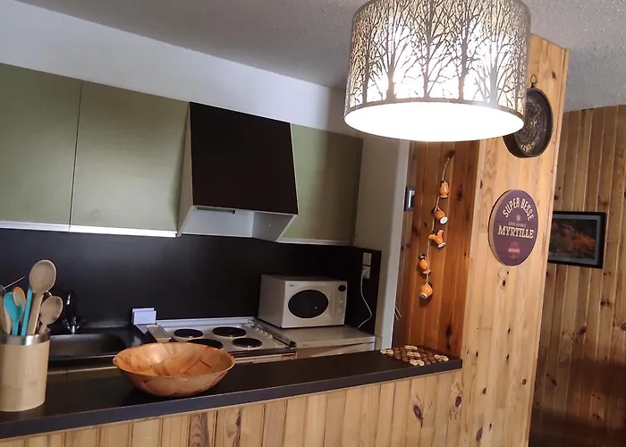 Apartment Au Pied Des Pistes A - Fr-1-814-61 *